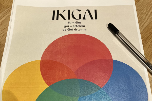 Életformáló esték a Lady Lions Club Sopronnál 